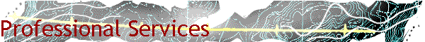 Professional Services