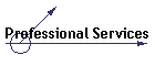 Professional Services